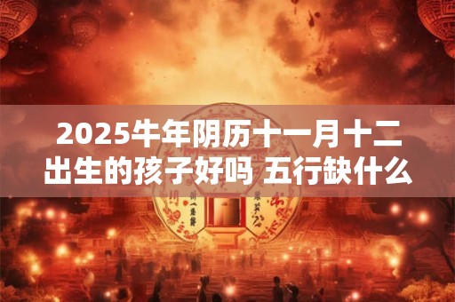 2025牛年阴历十一月十二出生的孩子好吗 五行缺什么