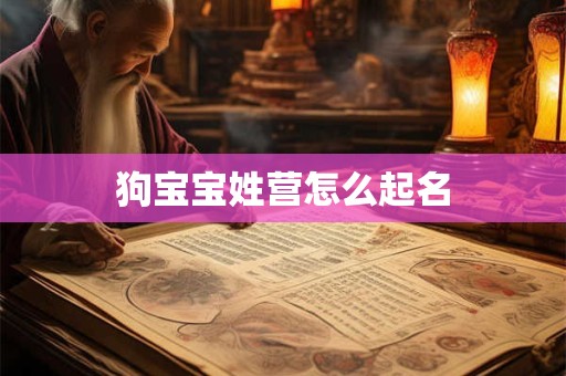 狗宝宝姓营怎么起名