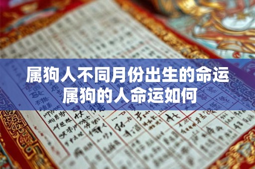 属狗人不同月份出生的命运 属狗的人命运如何