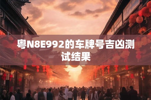 粤N8E992的车牌号吉凶测试结果