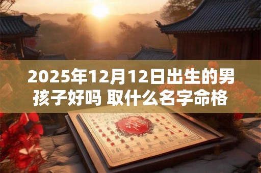 2025年12月12日出生的男孩子好吗 取什么名字命格好