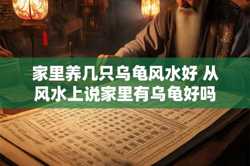 家里养几只乌龟风水好 从风水上说家里有乌龟好吗