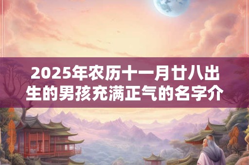 2026年农历十一月廿八出生的男孩充满正气的名字介绍