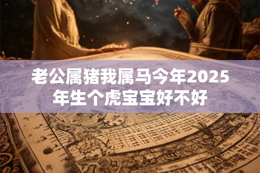 老公属猪我属马今年2025年生个虎宝宝好不好 老公属猪我属马今年2025年生个虎宝宝好不好