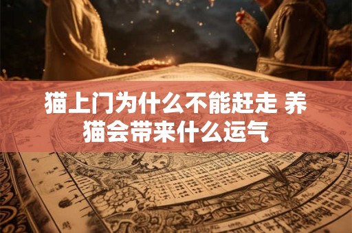 猫上门为什么不能赶走 养猫会带来什么运气
