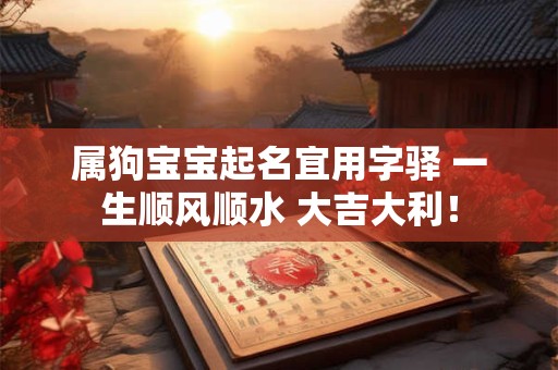 属狗宝宝起名宜用字驿 一生顺风顺水 大吉大利！