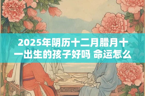 2025年阴历十二月腊月十一出生的孩子好吗 命运怎么样