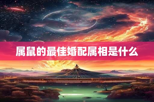 属鼠的最佳婚配属相是什么