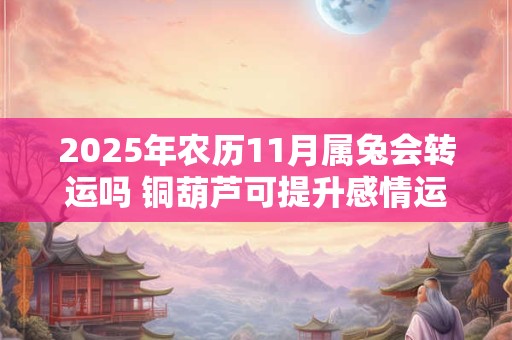 2025年农历11月属兔会转运吗 铜葫芦可提升感情运势