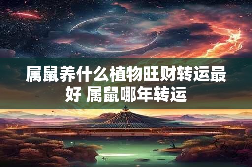 属鼠养什么植物旺财转运最好 属鼠哪年转运