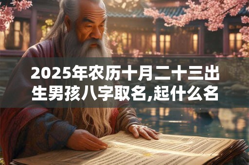 2025年农历十月二十三出生男孩八字取名,起什么名字好