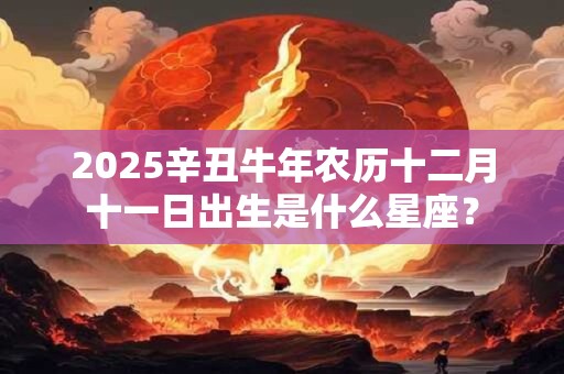 2025辛丑牛年农历十二月十一日出生是什么星座？