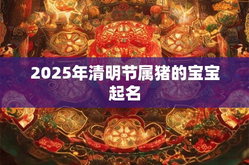 2025年清明节属猪的宝宝起名