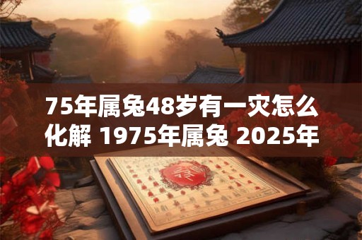 75年属兔48岁有一灾怎么化解 1975年属兔 2025年本命年命运如何