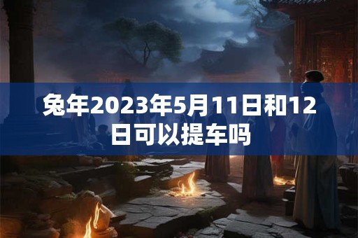 兔年2023年5月11日和12日可以提车吗
