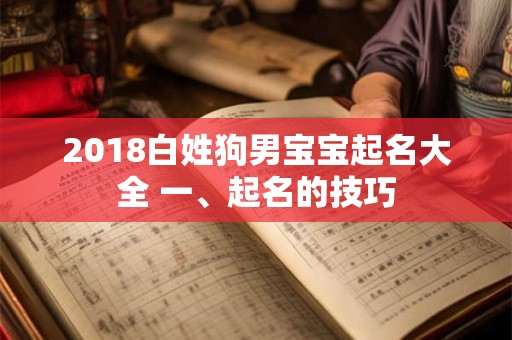 2018白姓狗男宝宝起名大全 一、起名的技巧