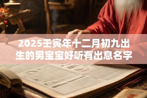 2025壬寅年十二月初九出生的男宝宝好听有出息名字 2025壬寅年十二月初九出生的男宝宝好听有出息名字