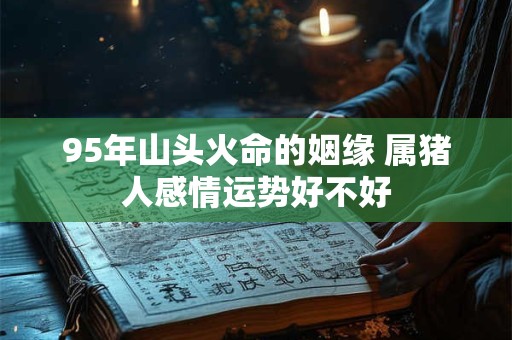 95年山头火命的姻缘 属猪人感情运势好不好