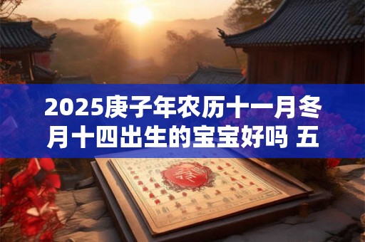 2025庚子年农历十一月冬月十四出生的宝宝好吗 五行八字查询