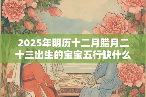 2025年阴历十二月腊月二十三出生的宝宝五行缺什么 是什么命