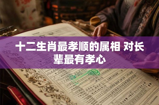 十二生肖最孝顺的属相 对长辈最有孝心