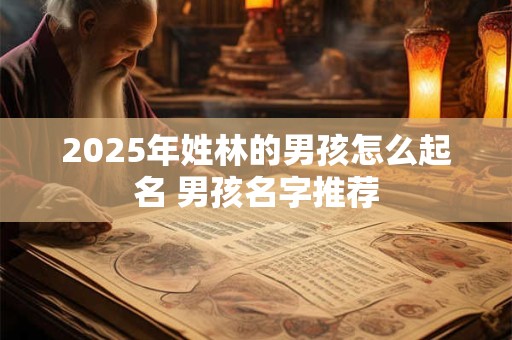 2025年姓林的男孩怎么起名 男孩名字推荐