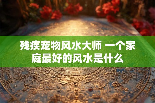 残疾宠物风水大师 一个家庭最好的风水是什么