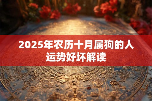 2025年农历十月属狗的人运势好坏解读