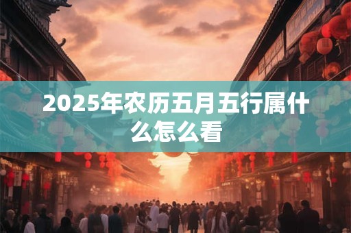 2025年农历五月五行属什么怎么看