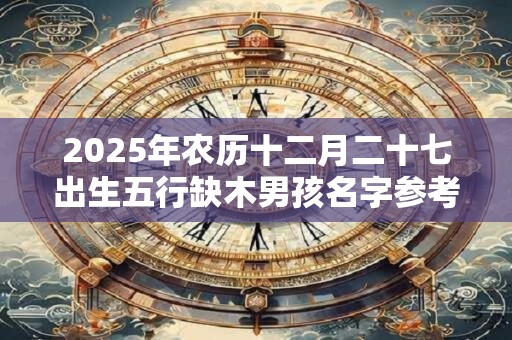 2026年农历十二月二十七出生五行缺木男孩名字参考