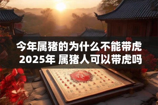 今年属猪的为什么不能带虎 2025年 属猪人可以带虎吗