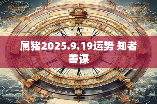 属猪2025.9.19运势 知者善谋