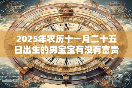 2025年农历十一月二十五日出生的男宝宝有没有富贵命