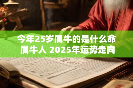 今年25岁属牛的是什么命 属牛人 2025年运势走向
