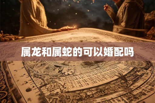属龙和属蛇的可以婚配吗