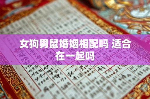 女狗男鼠婚姻相配吗 适合在一起吗