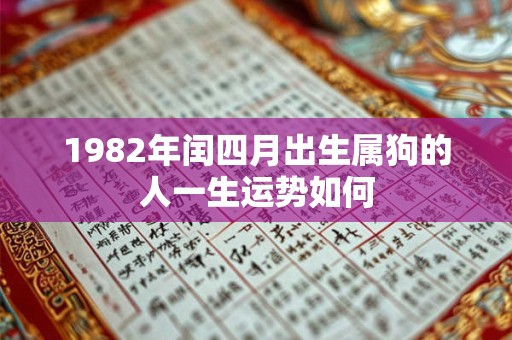 1982年闰四月出生属狗的人一生运势如何