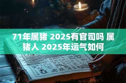 71年属猪 2025有官司吗 属猪人 2025年运气如何