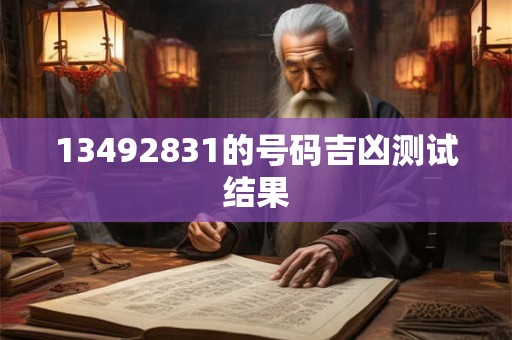 13492831的号码吉凶测试结果