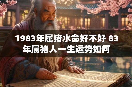 1983年属猪水命好不好 83年属猪人一生运势如何 1983年属猪水命好不好 83年属猪人一生运势如何