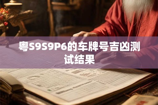 粤S9S9P6的车牌号吉凶测试结果