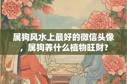 属狗风水上最好的微信头像，属狗养什么植物旺财？
