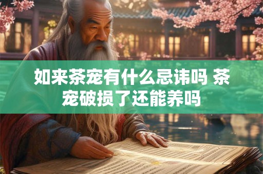 如来茶宠有什么忌讳吗 茶宠破损了还能养吗