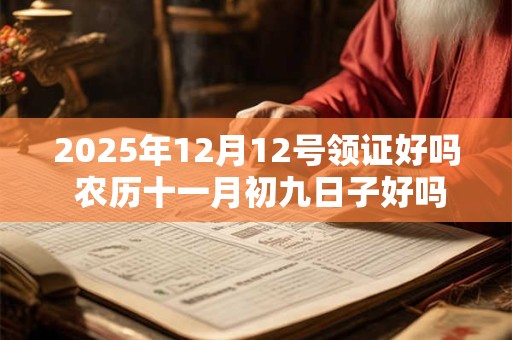 2025年12月12号领证好吗 农历十一月初九日子好吗