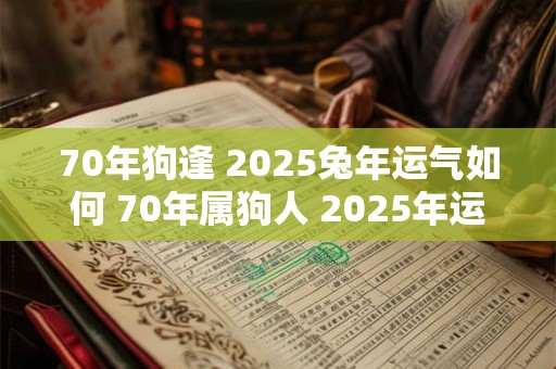 70年狗逢 2025兔年运气如何 70年属狗人 2025年运势好不好 70年狗逢 2025兔年运气如何 70年属狗人 2025年运势好不好
