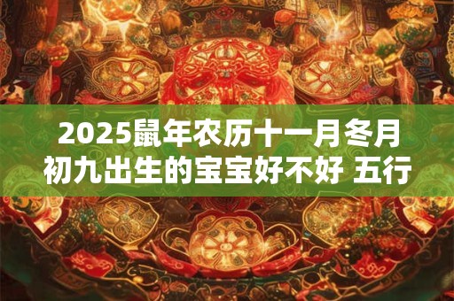 2025鼠年农历十一月冬月初九出生的宝宝好不好 五行缺什么