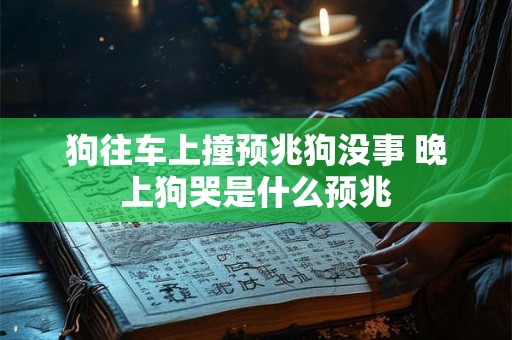 狗往车上撞预兆狗没事 晚上狗哭是什么预兆
