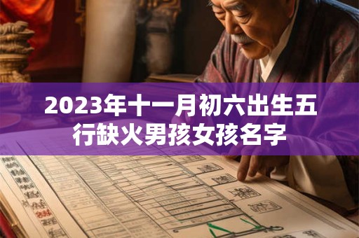 2023年十一月初六出生五行缺火男孩女孩名字