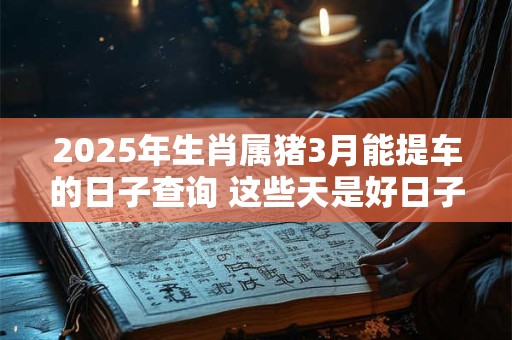 2025年生肖属猪3月能提车的日子查询 这些天是好日子