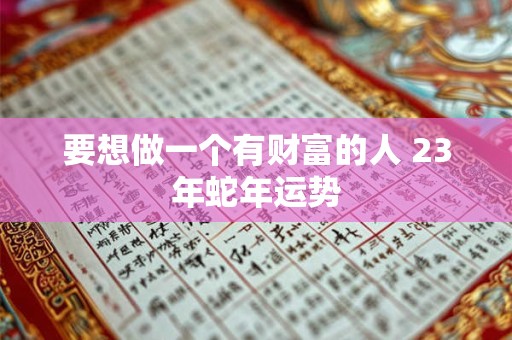要想做一个有财富的人 23年蛇年运势